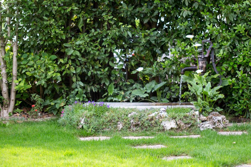 B&B Arco Di Pietra Quinto Di Treviso Dış mekan fotoğraf